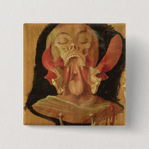 Anatomical drawing of the head 2 inch square button