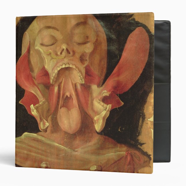 Anatomical drawing of the head binder (Front/Inside)