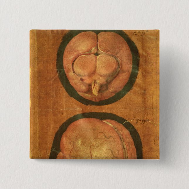 Anatomical drawing of the human brain 2 inch square button (Front)