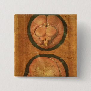 Anatomical drawing of the human brain 2 inch square button