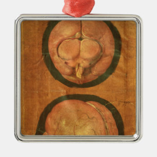 Anatomical drawing of the human brain metal ornament