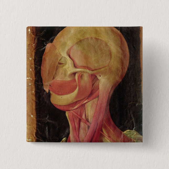 Anatomical drawing of the human head 2 inch square button (Front)