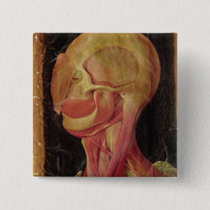 Anatomical drawing of the human head 2 inch square button