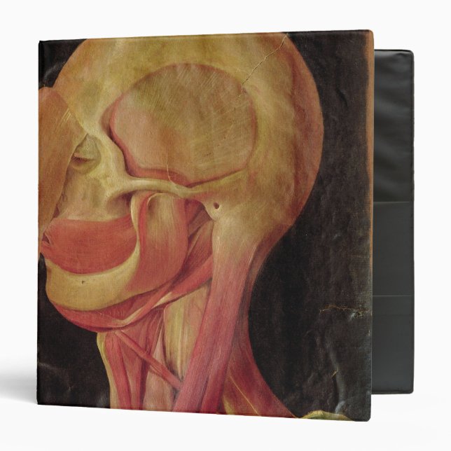 Anatomical drawing of the human head binder (Front/Inside)