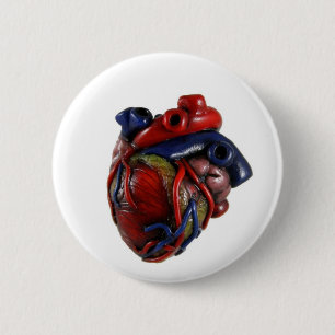 Anatomical Heart 2 Inch Round Button
