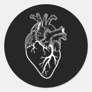 Anatomical Heart Cardiac Nurse  Classic Round Sticker
