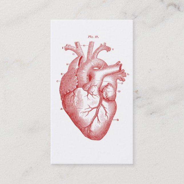 Anatomical Heart Medical Cardiology Cardiologist Business Card (Front)