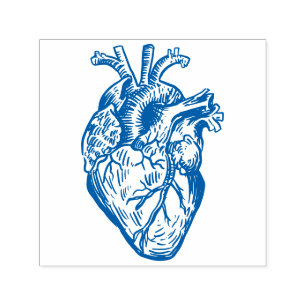 Anatomical Heart Self-inking Stamp