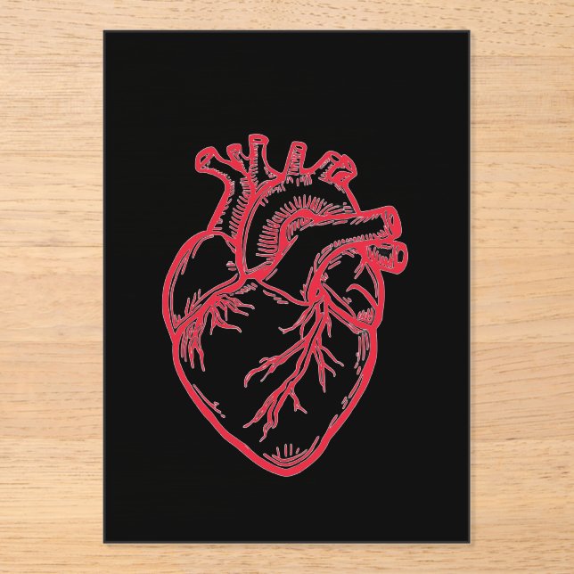 Anatomical Heart Valentine Shirt Acrylic Invitations (Front)