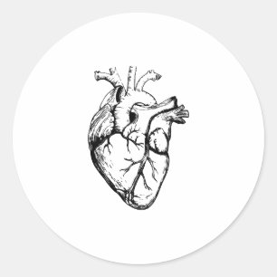 Anatomical Heart Vintage Line Art Classic Round Sticker