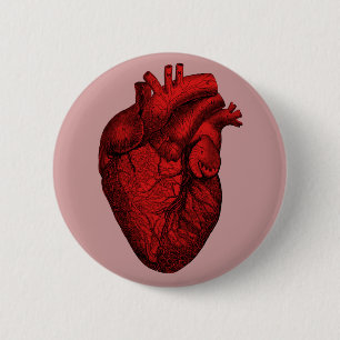 Anatomical Human Heart 2 Inch Round Button