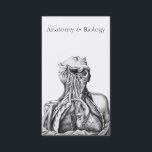Anatomical Illustration Medical Sciences Business Card<br><div class="desc">This vintage scientific illustration with typeface adds a stately classical look to this business card. A perfect fit for a university professor of anatomy and biology. Other uses may include a profile card for a biologist.</div>