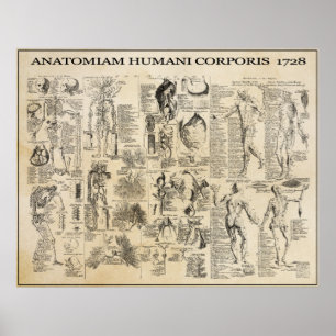 ANATOMICAL MAN 1728 POSTER