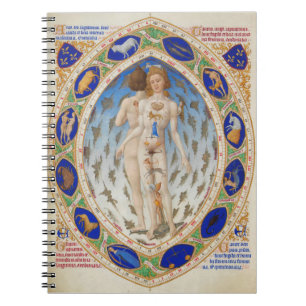 Anatomical Man - Notebook