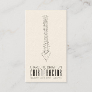Anatomical Spine Chiropractor Appointment And Business Card