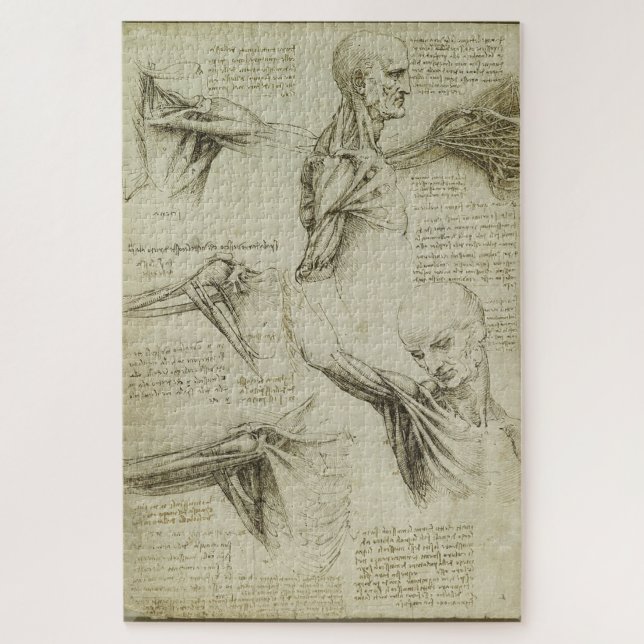 Anatomical Studies of the Shoulder –Leonardo da E2 Jigsaw Puzzle (Vertical)