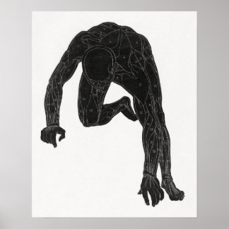 Anatomical study of a man's neck poster