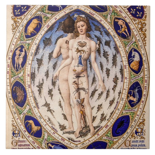  Anatomical Zodiac Man Tile (Front)