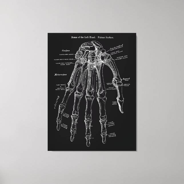Anatomie à la main Grande toile murale en toile Ar (Recto)