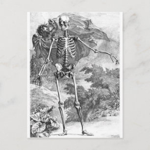 Anatomie de la mort vintage carte postale