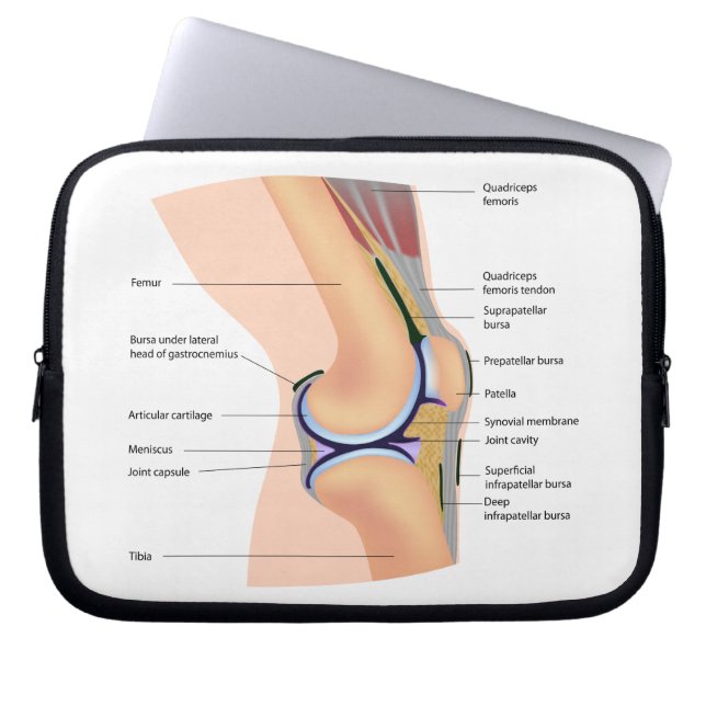 Anatomie de sac humain de l'électronique (Devant)