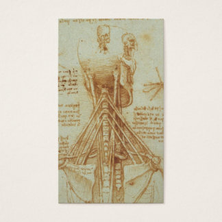 Anatomie du cou par Léonard de Vinci c. 1515