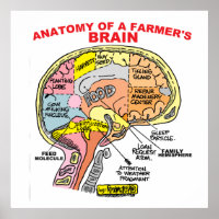 ANATOMIE D'UN POSTER DE CERVEAU D'UN AGRICULTEUR