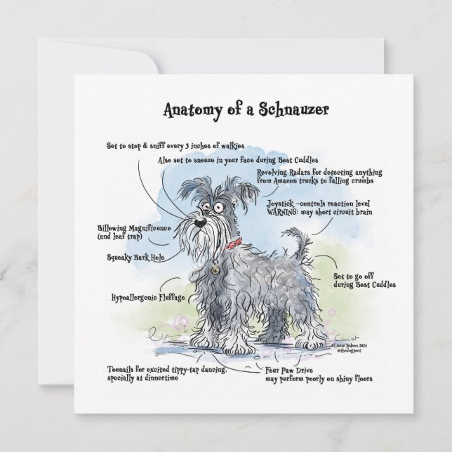 Anatomie d'un Schnauzer Funny Carte pour notes (Devant)