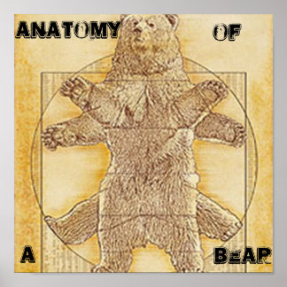 Anatomie d'une affiche d'ours