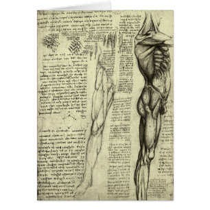Anatomie humaine masculine - Muscles par Léonard d