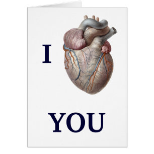 Anatomie humaine vintage, Je Coeur Vous Aime