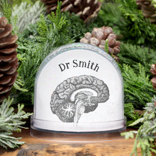 Anatomie médicale vintage illustration cerveau hum