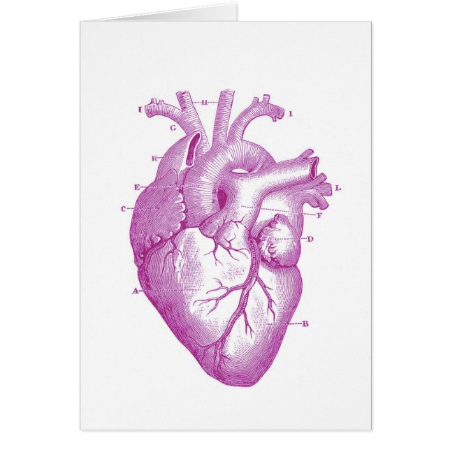 Anatomie vintage pourpre de coeur (Devant)