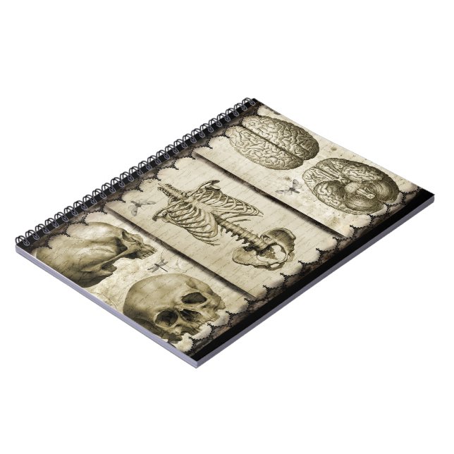 Anatomize Notebook (Left Side)