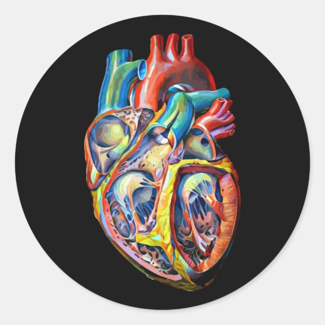 anatomy abstract art colourful human heart classic round sticker (Front)