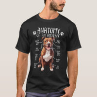 Anatomy American Staffordshire Terrier Dog Amstaff