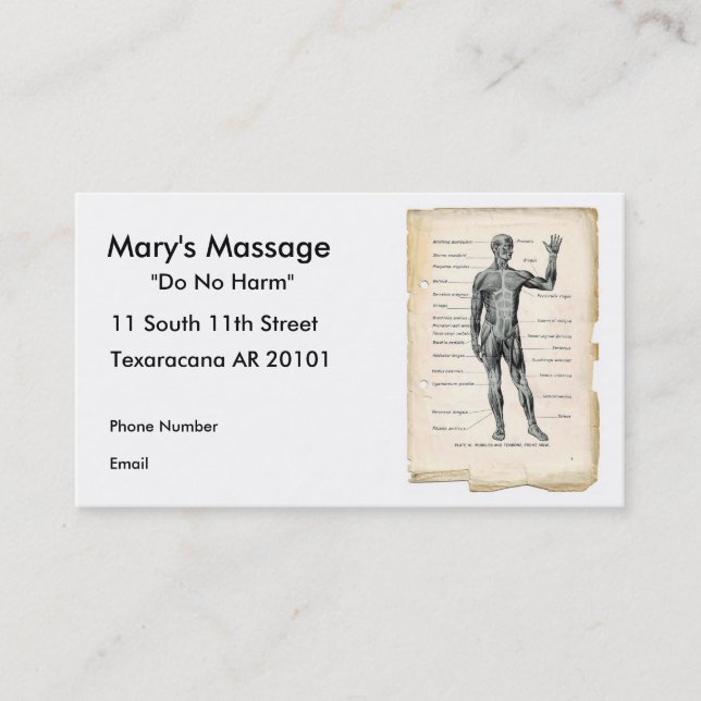 Anatomy Anterior Appointment Card (Front)