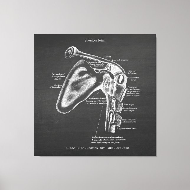 Anatomy Art no.1 Shoulder Joint Canvas Print (Front)