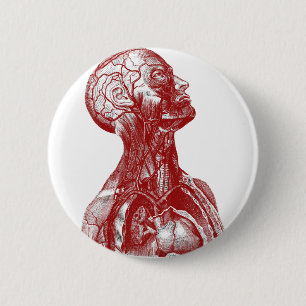 Anatomy Bust Red 2 Inch Round Button