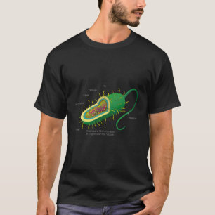Anatomy Cell Bacteria Plant Cell T-Shirt