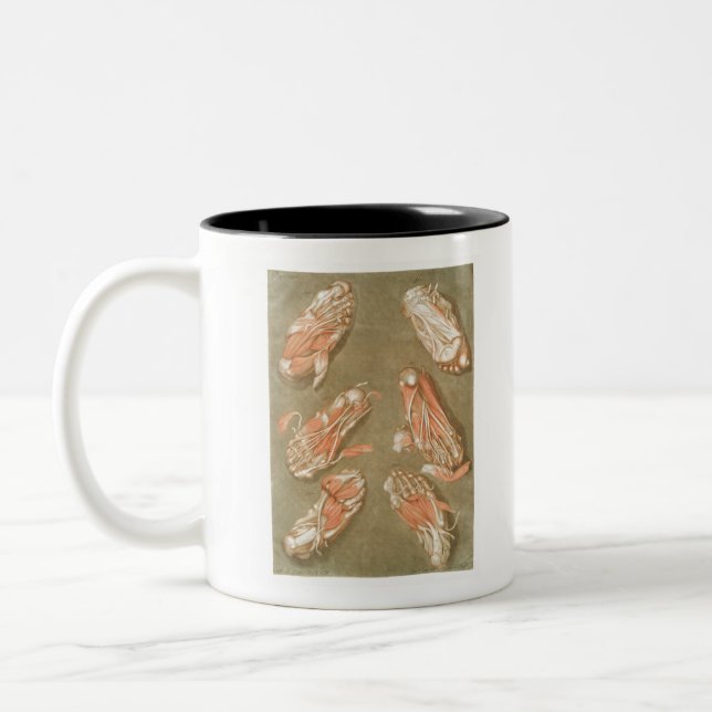 ANATOMY FOOT ANATOMY FOOT MUSCLE ANATOMY BONES LIG Two-Tone COFFEE MUG (Left)