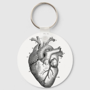 Anatomy-Heart-Images-Vintage Keychain