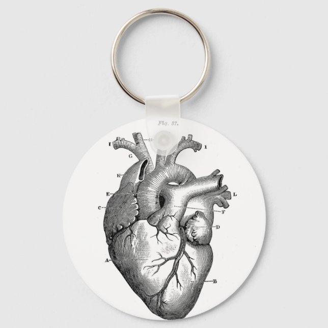 Anatomy-Heart-Images-Vintage Keychain (Front)