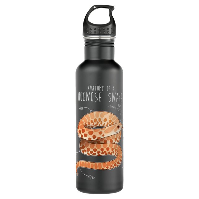 Anatomy of a Albino Hognose Snake 710 Ml Water Bottle (Front)