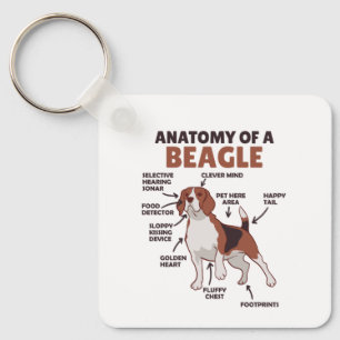 Anatomy Of A Beagle Cute Dogs Funny Dog Beagle Keychain