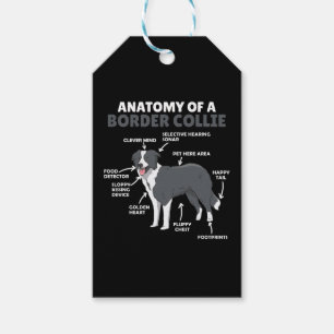 Anatomy Of A Border Collie Dog Funny Puppy Gift Tags