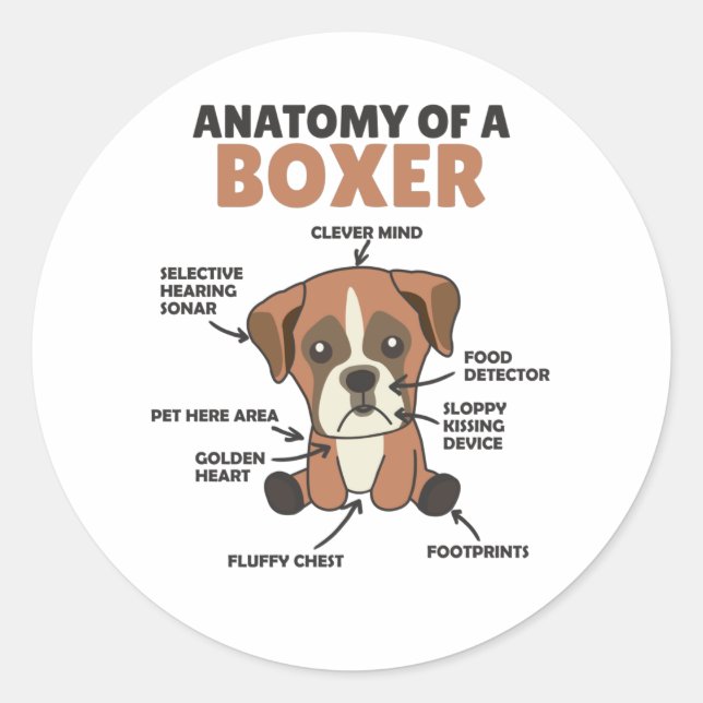 Anatomy Of A Boxer Sweet Dog Puppy Classic Round Sticker (Front)
