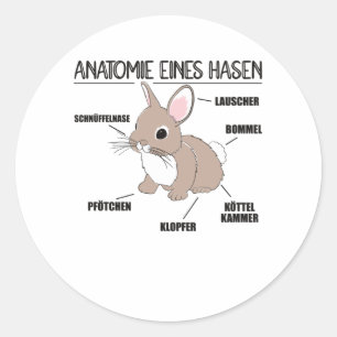 Anatomy Of A Bunny Funny Knob Explanation Classic Round Sticker
