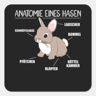 Anatomy Of A Bunny Funny Knob Explanation Square Sticker