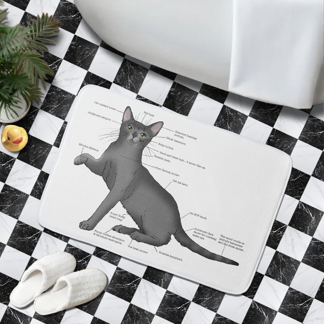 Anatomy of a Cat Bath Mat (Creator Uploaded)